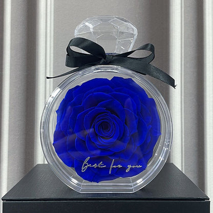 Natural Eternal Flower Ornaments Transparent Cover Dried Rose Gift Box  Valentine's Day Home Decor