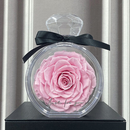 Natural Eternal Flower Ornaments Transparent Cover Dried Rose Gift Box  Valentine's Day Home Decor