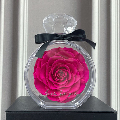 Natural Eternal Flower Ornaments Transparent Cover Dried Rose Gift Box  Valentine's Day Home Decor