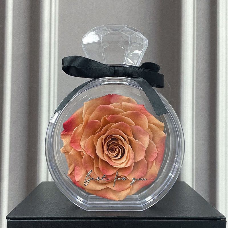 Natural Eternal Flower Ornaments Transparent Cover Dried Rose Gift Box  Valentine's Day Home Decor